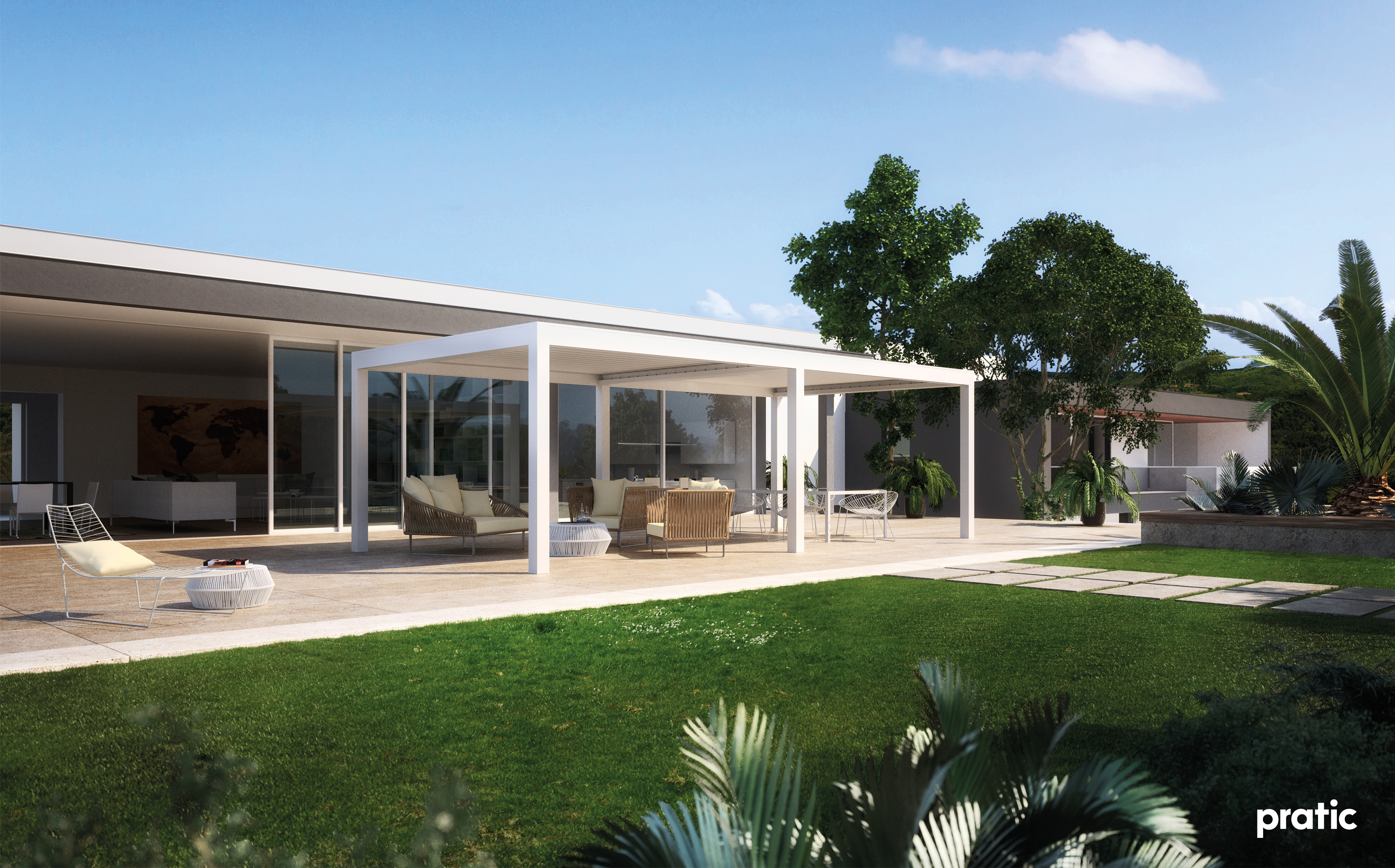 Vision 5